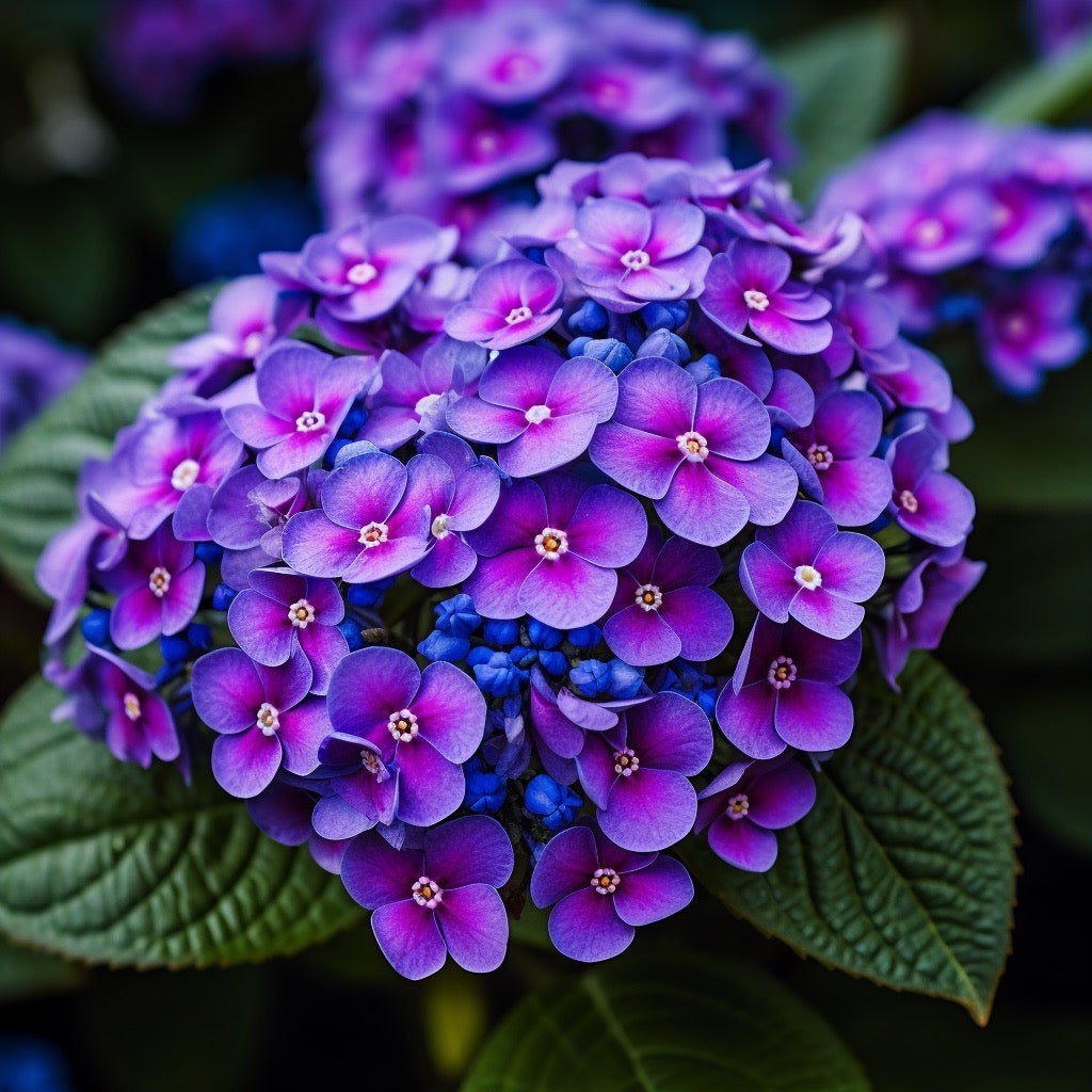 Heliotrope, the Cherry Pie of Perfumery