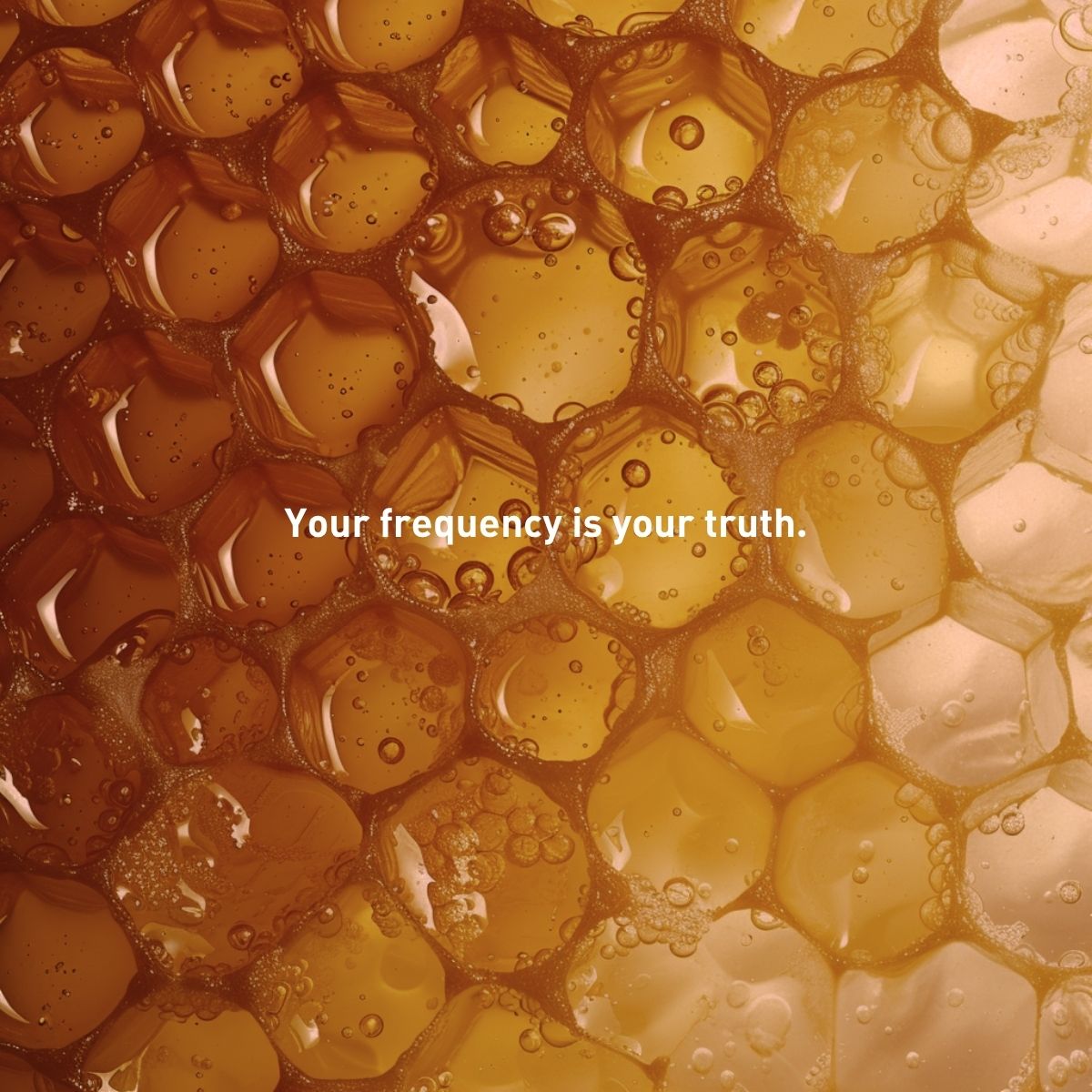 sunshine-honey-pie.jpg